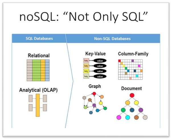 SQL’s Database