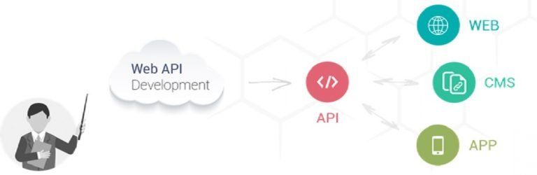 Web API Development