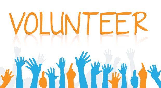 Skill-based Volunteering