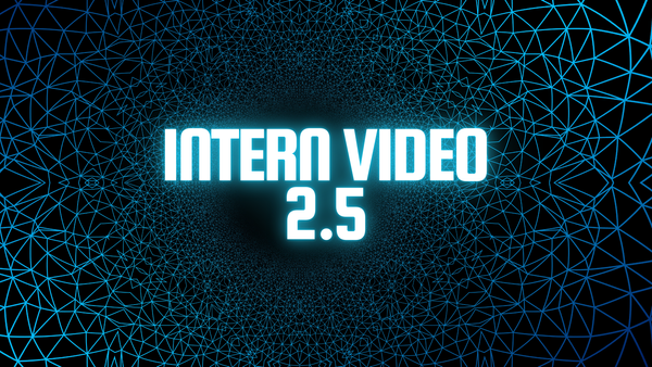 Installation and Running of InternVideo2.5 on Windows